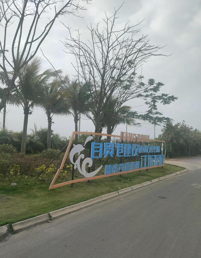 海口江東新區巨變見證自貿港速度 江東大道兩側煥新顏，全省重大項目蓬勃推進與企業網站建設新機遇